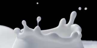 Latte, Patuanelli “Firmato accordo per sostegno a filiera”