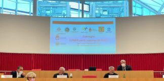 Pnrr, Emiliano “Occasione imperdibile per il Mezzogiorno”