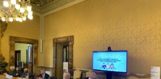 Colf e badanti, in un decennio -61% di under 30