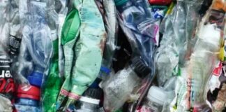 Rifiuti, in Veneto due nuovi bandi con 2 mln a disposizione