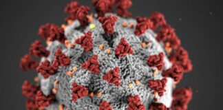 Covid, in Sardegna 96 nuovi casi e un decesso