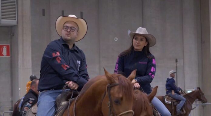 Fieracavalli, nel secondo weekend spazio a western e competizioni