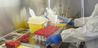 Covid, Palù (Aifa) “Proteggere i piccoli, ora è una malattia pediatrica”