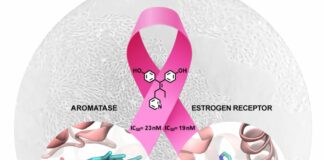 Tumore al seno, possibili nuove molecole per trattamenti più efficaci
