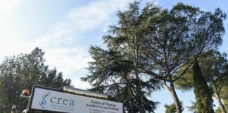 Agrobiodiversità e dieta mediterranea paradigma per la transizione verde