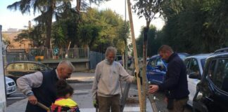 Roma, partita al Nomentano la messa a dimora di 25 nuovi alberi