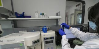 Università, 7 milioni per attrarre in Italia giovani ricercatori