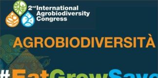 Da Enea soluzioni e studi per trasformare i sistemi agroalimentari