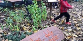 Wwf-P&G, 2000 mq di verde per gli alunni delle scuole italiane