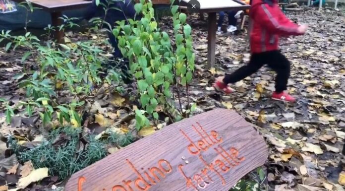 Wwf-P&G, 2000 mq di verde per gli alunni delle scuole italiane