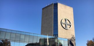 Bayer e la onlus Plastic Free insieme per ripulire 5 città dai rifiuti