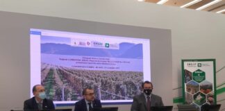 Agroalimentare, collaborazione Lombardia, Ersaf e Cervim su vini montani