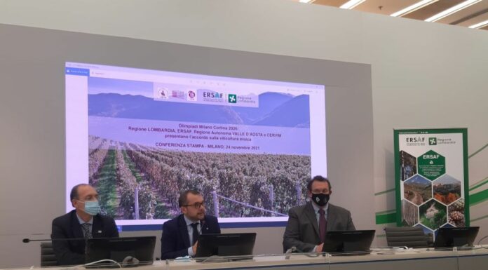 Agroalimentare, collaborazione Lombardia, Ersaf e Cervim su vini montani