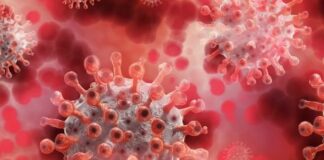 Covid, 1.058 nuovi positivi e 14 decessi in Emilia Romagna