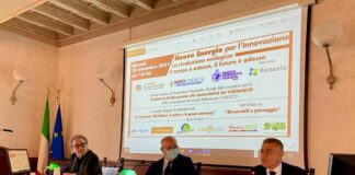 Per gli italiani solare ed eolico per vincere la sfida della transizione