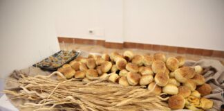 Brevettato il glutine “detossificato” per celiaci e intolleranti