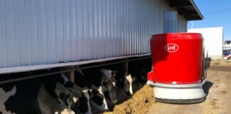 Zootecnia, Crea “Dalla ricerca nuovi sistemi di alimentazione”