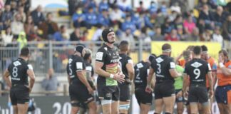 Zebre atterrate a Bologna, tamponi tutti negativi