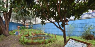 A Napoli la prima Aula Natura in Campania grazie a Wwf e P&G