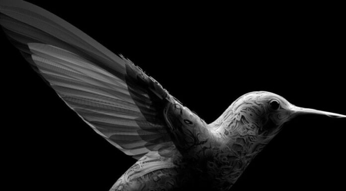 Cesare Cremonini torna con il nuovo singolo “Colibrì”