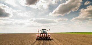 Energia e Tutele Graduali, Axpo Italia per le pmi dell’Emilia Romagna