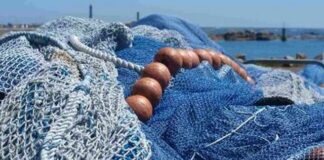 Bilancio, ok a rendiconto 2020 e promozione della blue economy