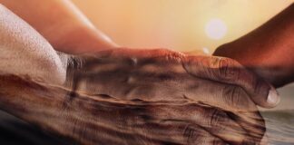 Cento giovani leader con la Fao per ridurre la fame nel mondo