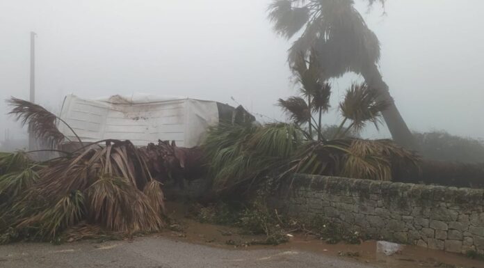 Maltempo, Donato: “Servono sistemi allerta meteo in tempo reale”