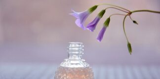 Come diventare esperto di profumi Come diventare esperto di profumi