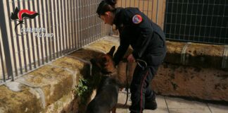 Spacciavano droga davanti a una scuola, 12 arresti a Palermo