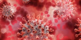 Covid, in Liguria 549 nuovi positivi e 3 decessi