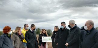 Fastweb per un futuro più green di Bari, 3.000 alberi piantati in 3 anni