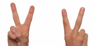 Piemonte, Regione approva riconoscimento promozione lingua dei segni