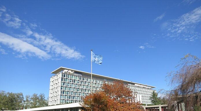 Dialogo fermo tra Oms e ricercatori sulle sigarette elettroniche