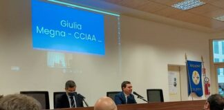 Sviluppo Economico, Varì “Attuare programmazione efficace”