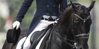 Sito/blog fra approfondimenti e testimonianze, nasce Dressage.it