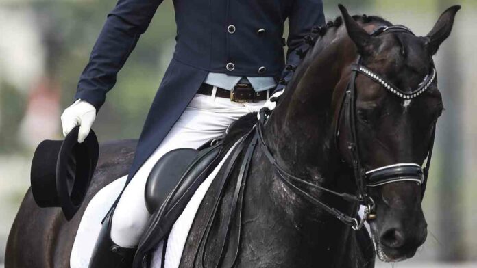 Asian Games Jakarta 2018 Dressage