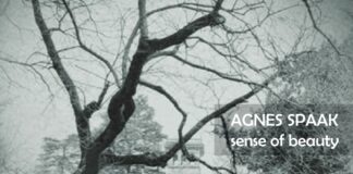 Acqua Di Noto e “Sense of Beauty”, la bellezza che genera bellezza