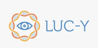 E’ on-line la nuova playlist dedicata alle distrofie retiniche ereditarie