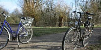 Mobilità sostenibile, in Emilia Romagna interventi per 3,6 miliardi