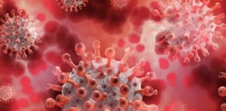 Covid, in Emilia Romagna si rafforza la rete di tracciamento