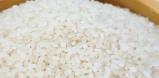 Piemonte e Lombardia chiedono al governo interventi sul riso