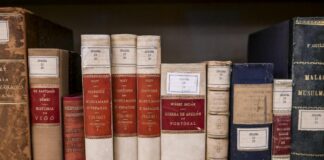 Mic, Biblioteca Cosenza conserva 230 mila volumi e il fondo Bellini
