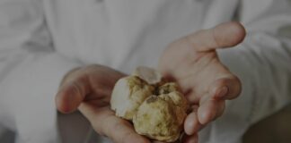 Tartufo. Mazzeo “Orgogliosi del riconoscimento Unesco”