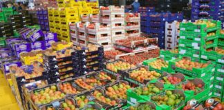 Agroalimentare, anche in pandemia settore chiave per economia