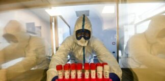 In Piemonte 2.326 nuovi casi Covid, 3,5% di 66.600 tamponi eseguiti