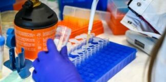 Biotech, nei prossimi dieci anni la domanda di lavoro è in crescita