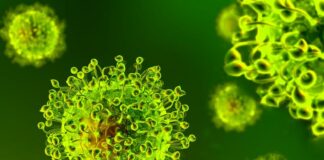 Covid, in Calabria 449 nuovi positivi