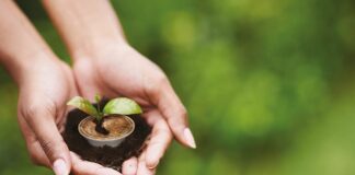 Caffè Borbone lancia una capsula amica della natura