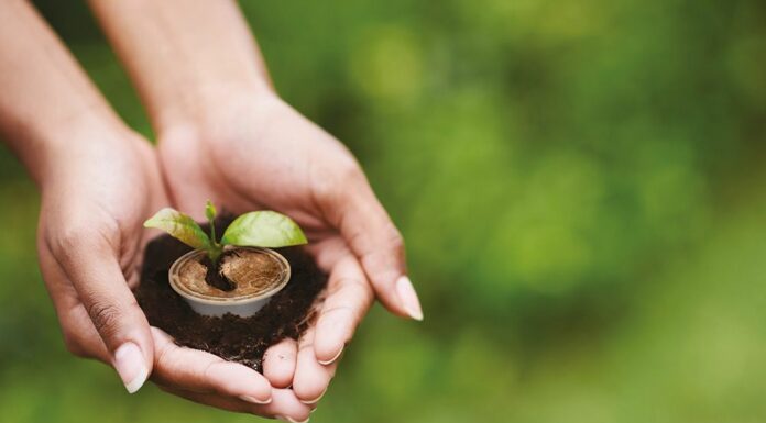 Caffè Borbone lancia una capsula amica della natura